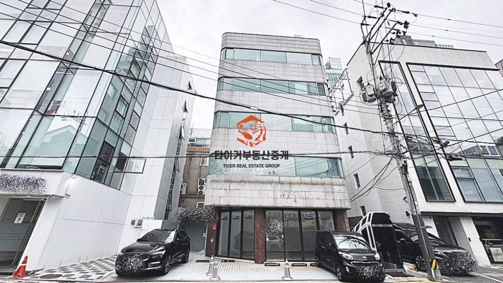 신사동