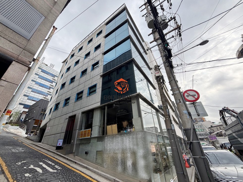 사진 13
