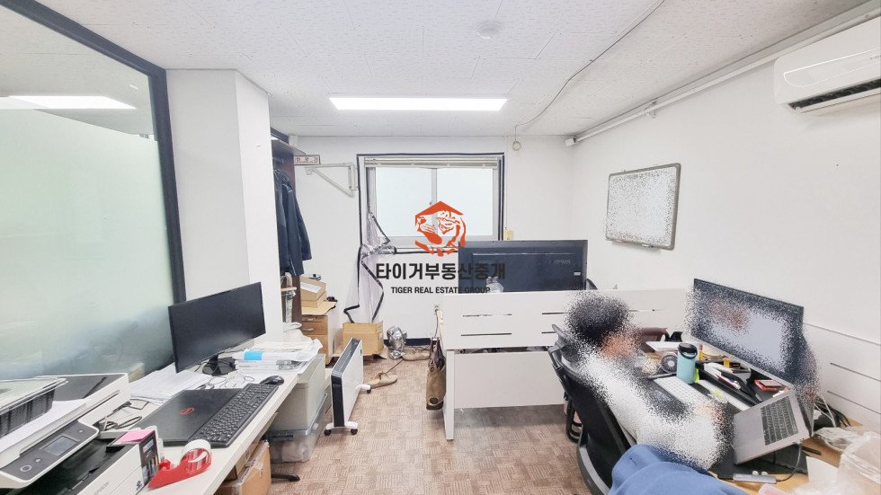 사진 5