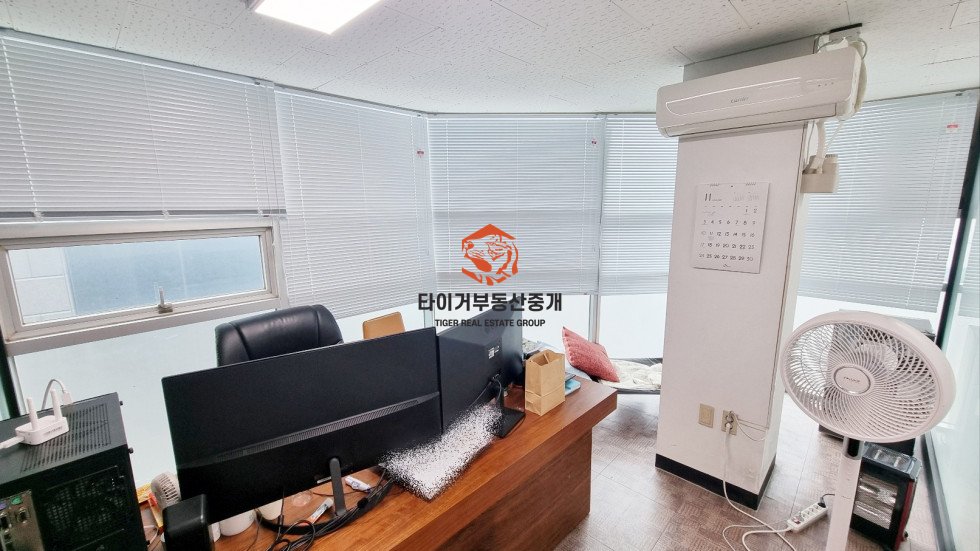 사진 8