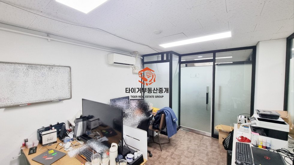 사진 11
