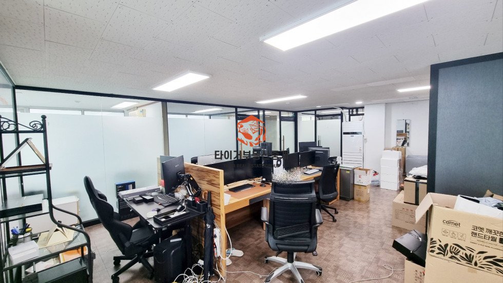 사진 14