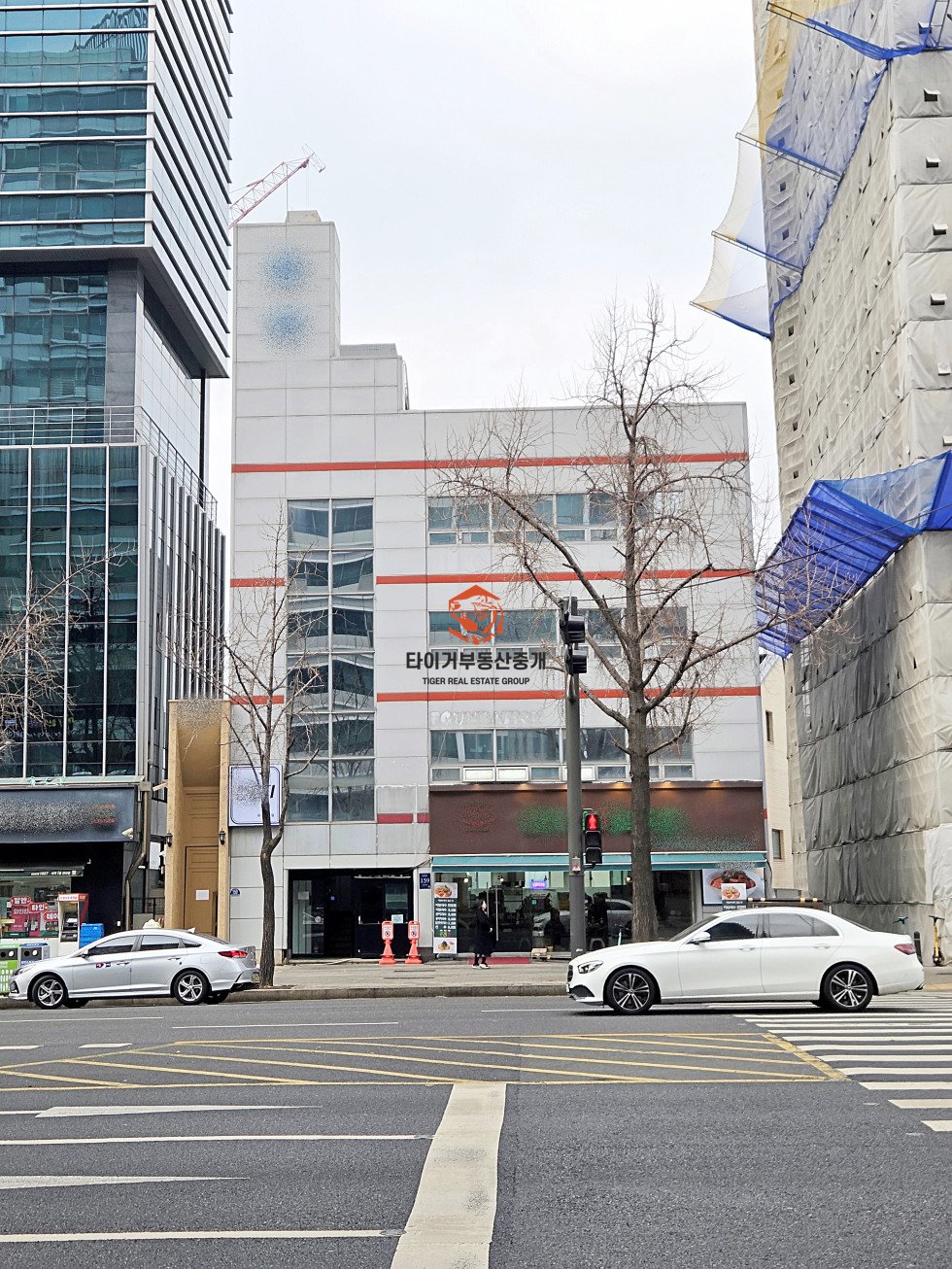 사진 19