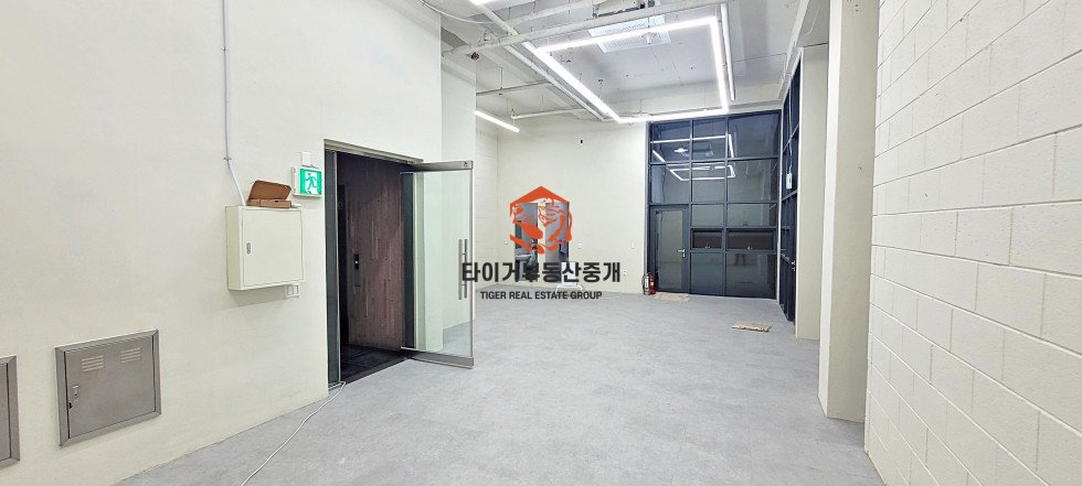 사진 5