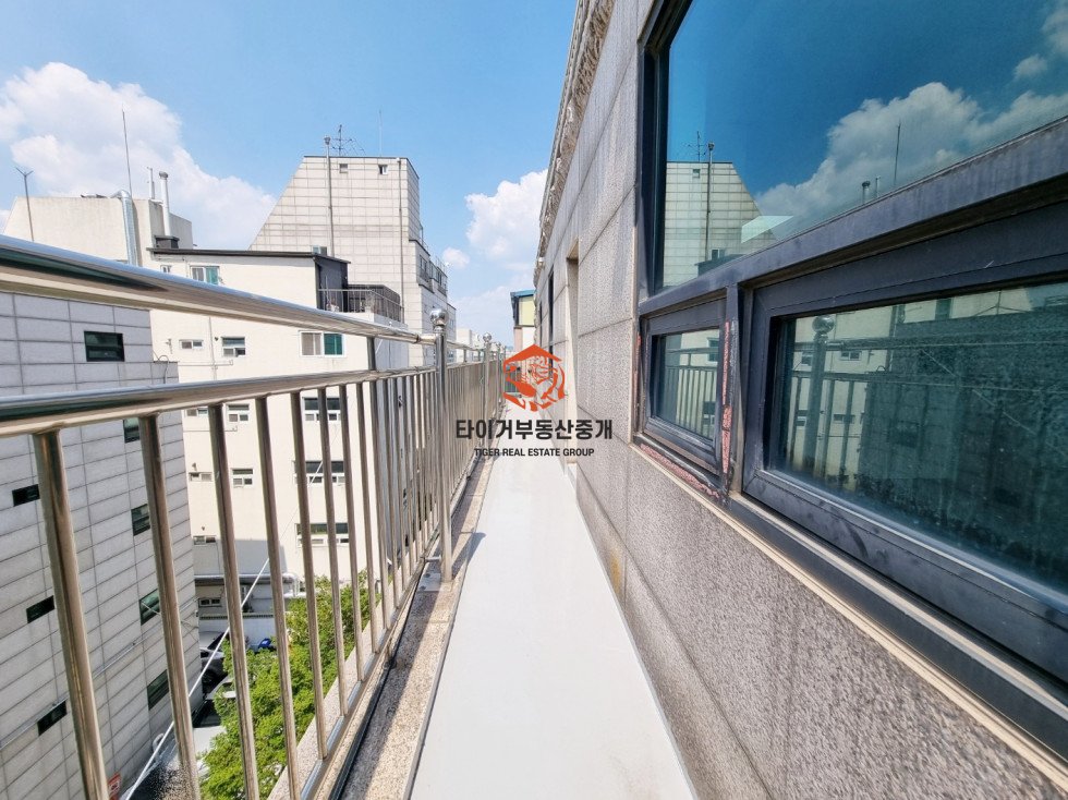 사진 5