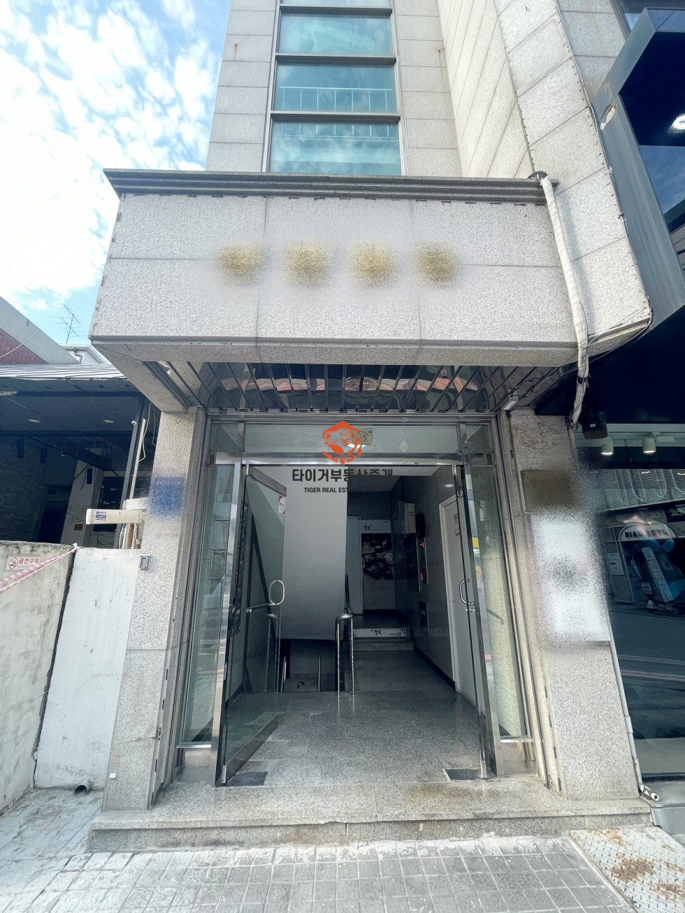 사진 5