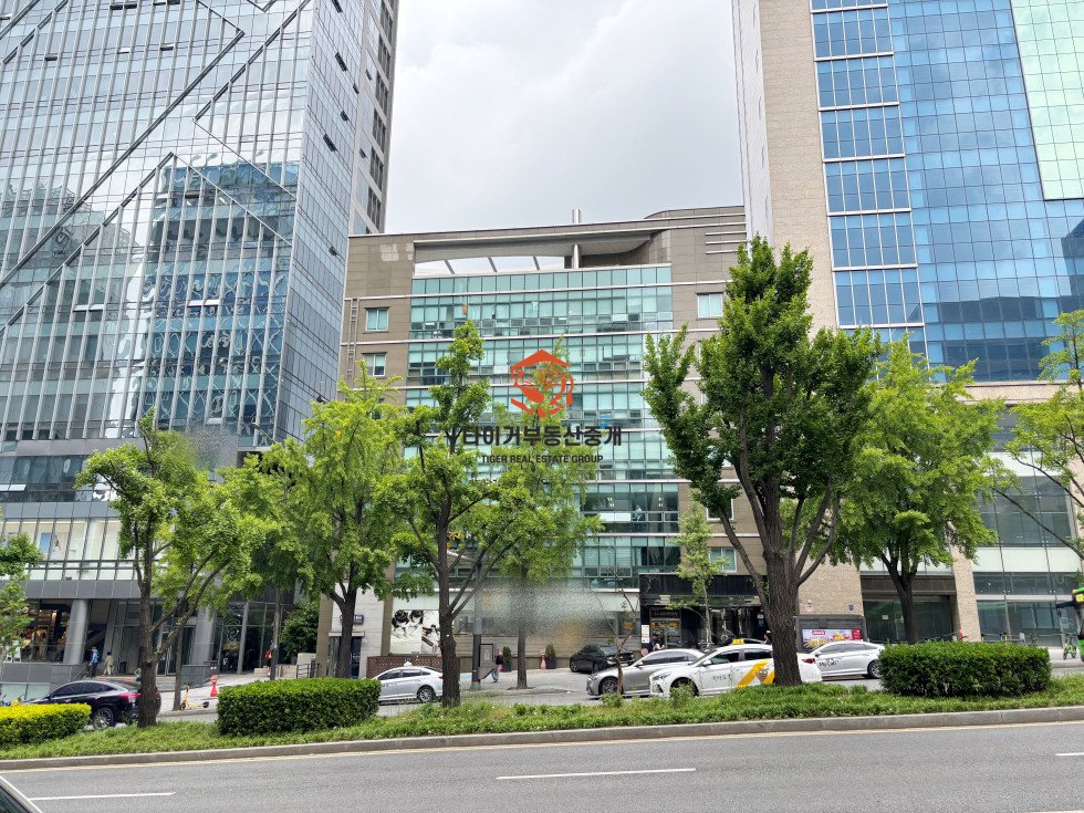 신사동