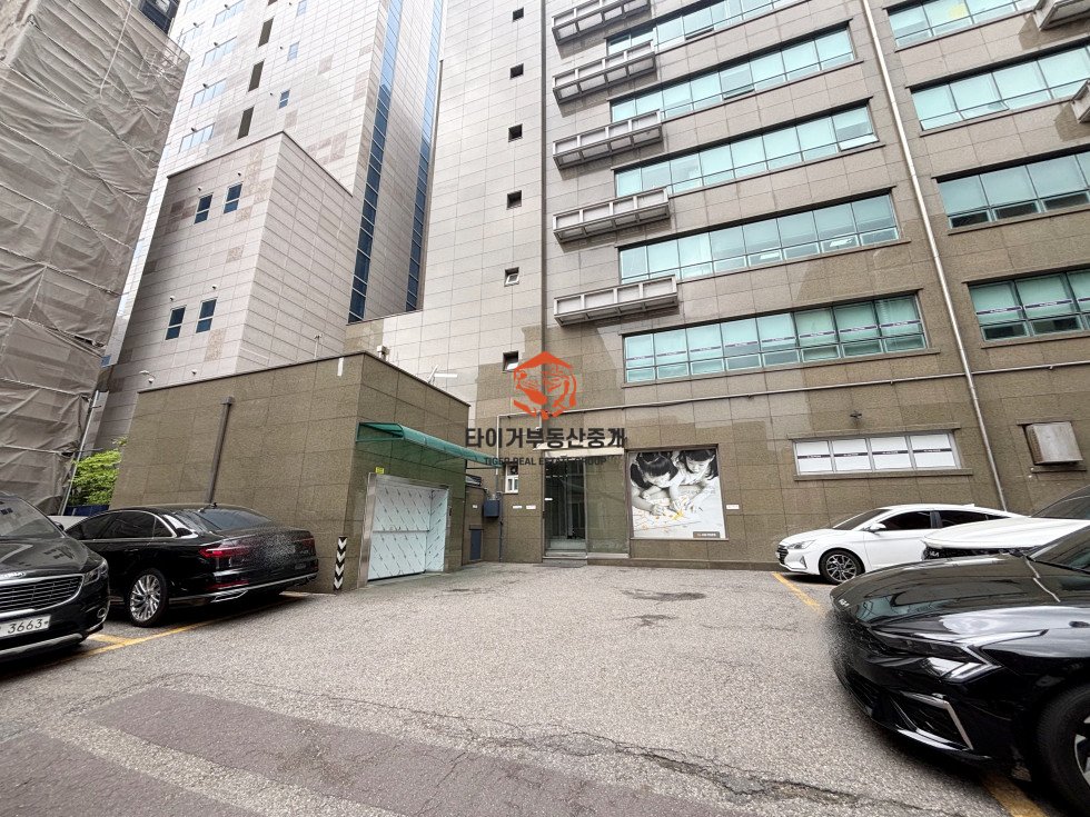 사진 12