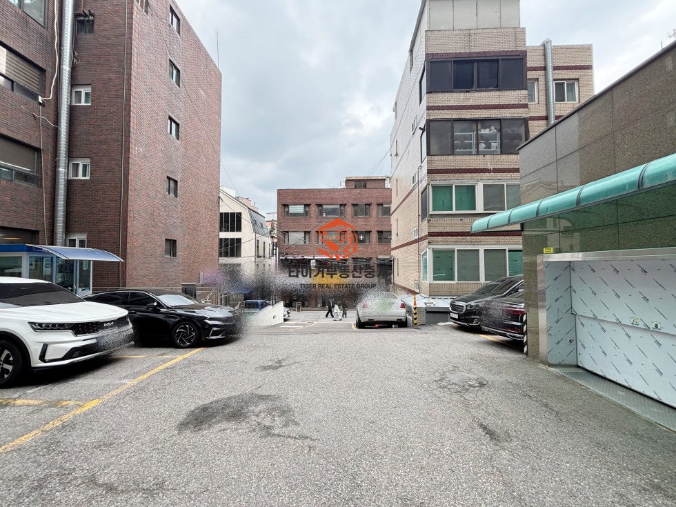 사진 13