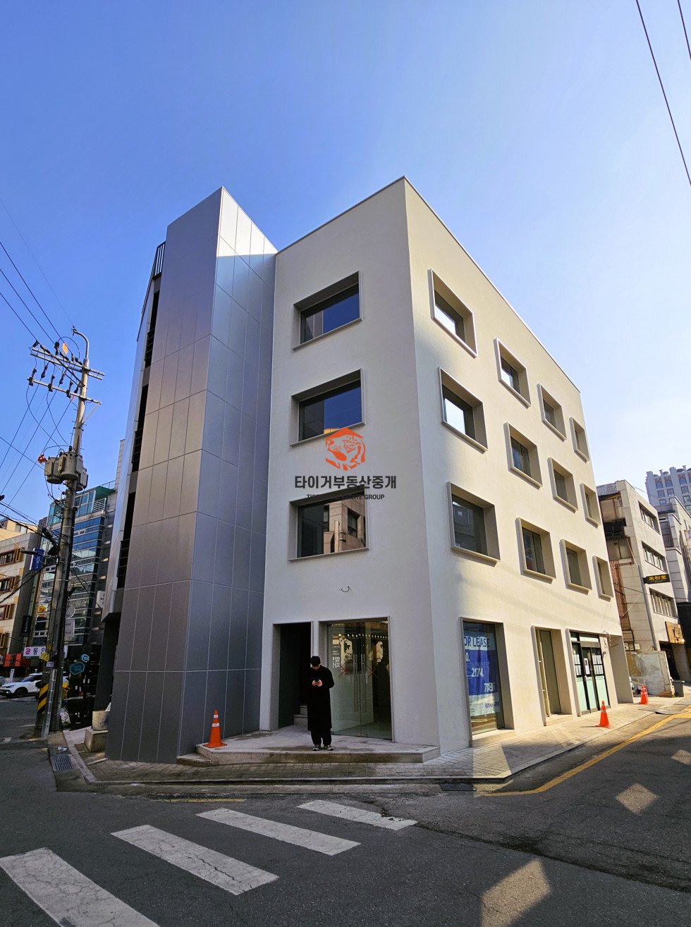 신사동