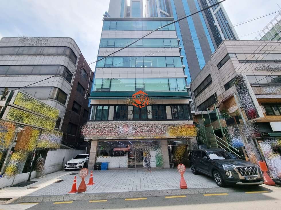 사진 12