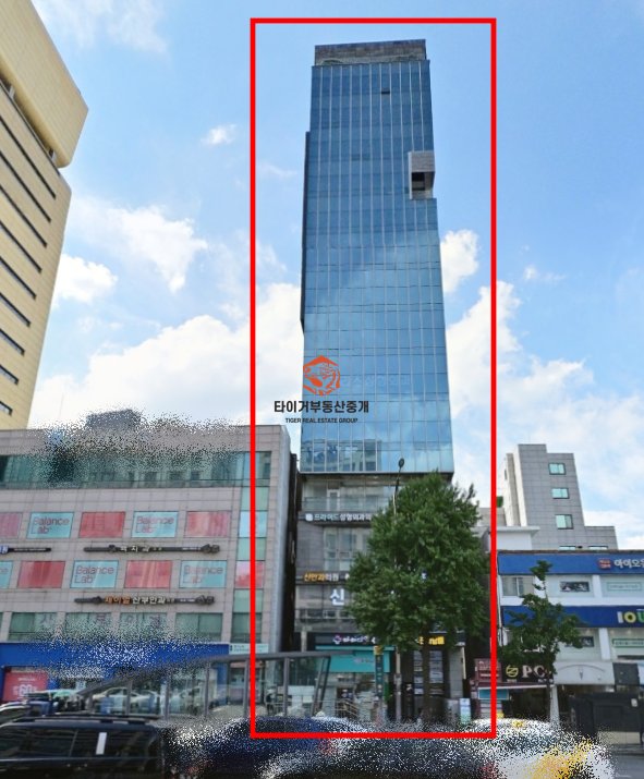 사진 17