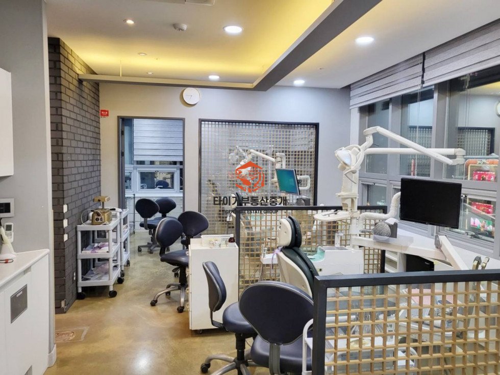 사진 5