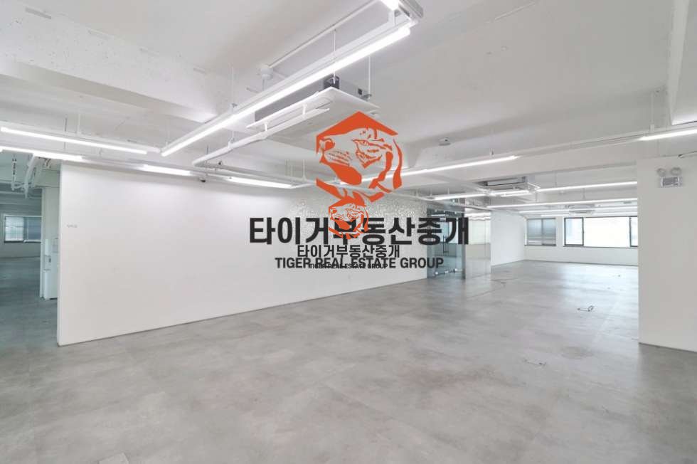 신사동