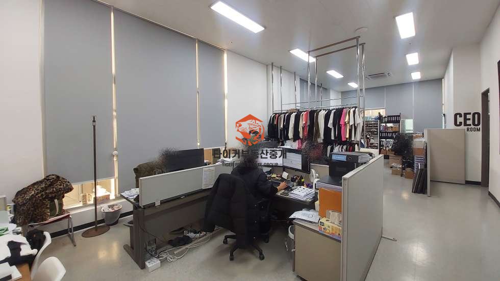 사진 10