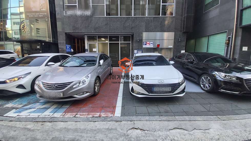 사진 16
