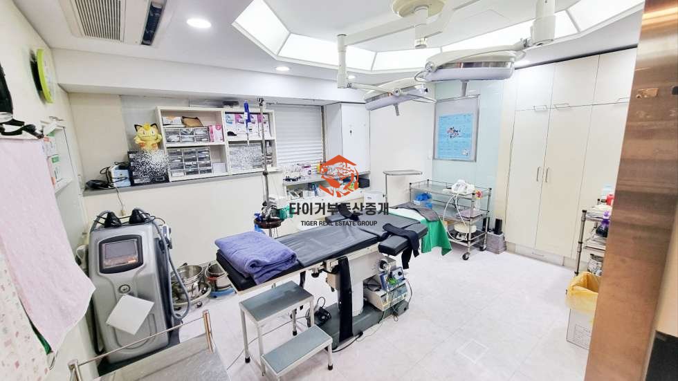 사진 8