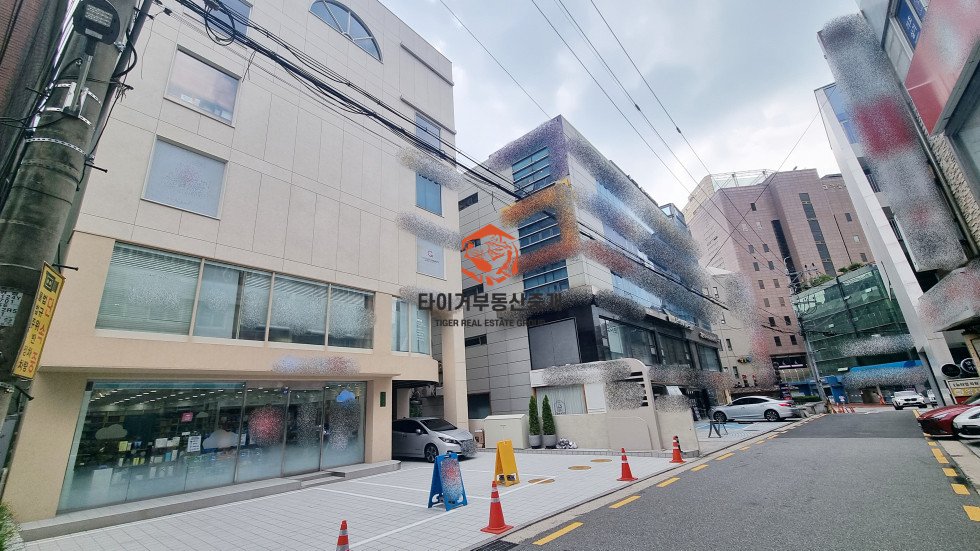 사진 12
