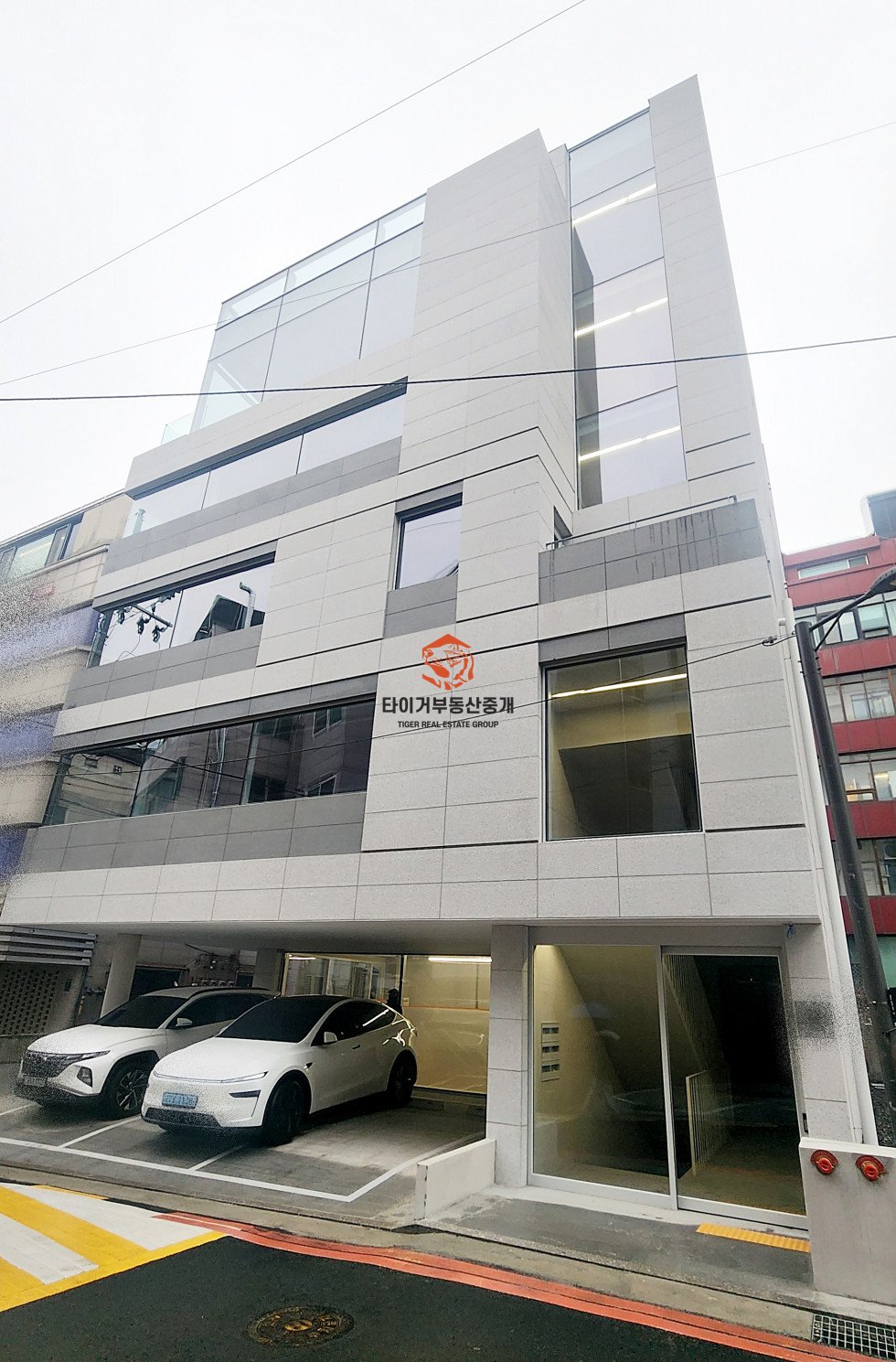 신사동
