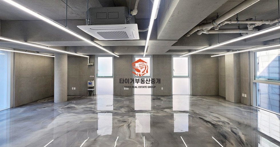 사진 8