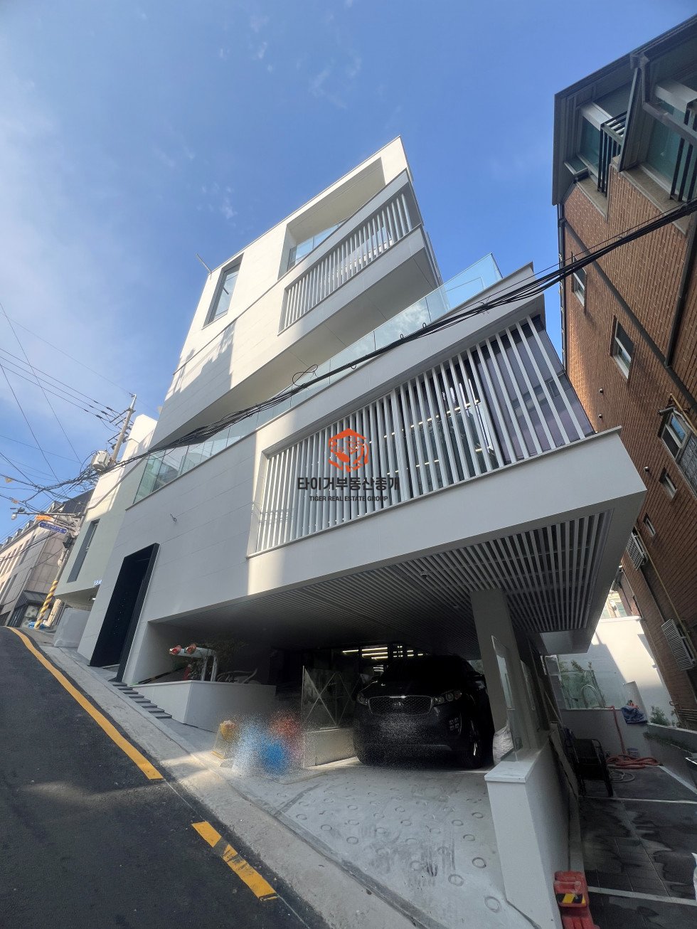 신사동