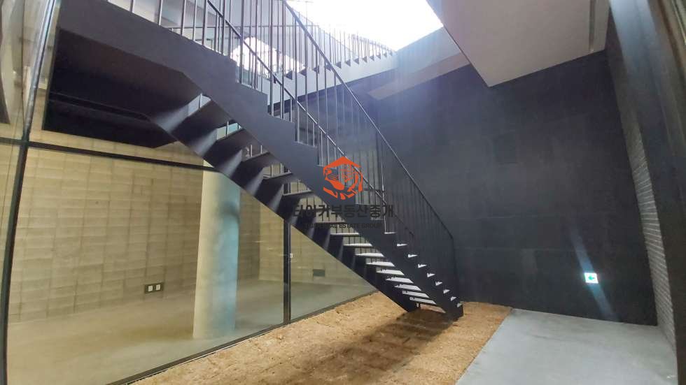 사진 5