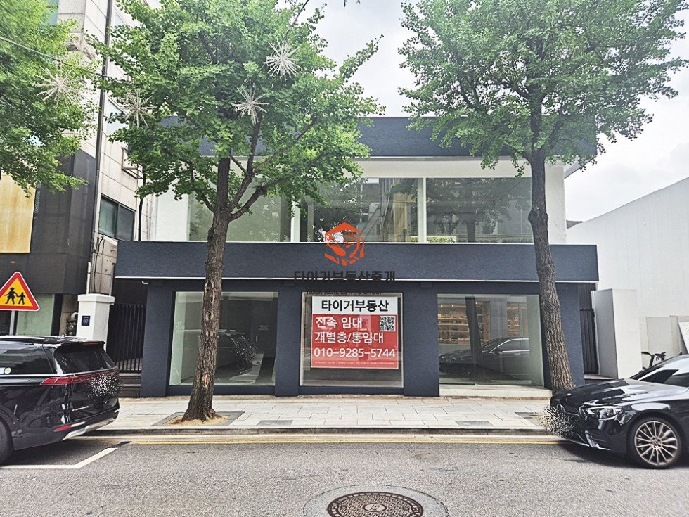 신사동