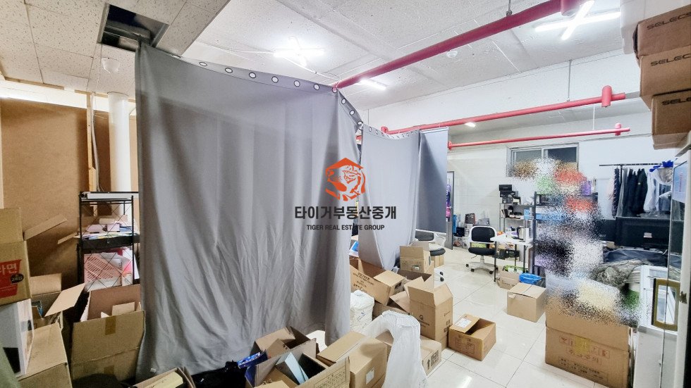 사진 6