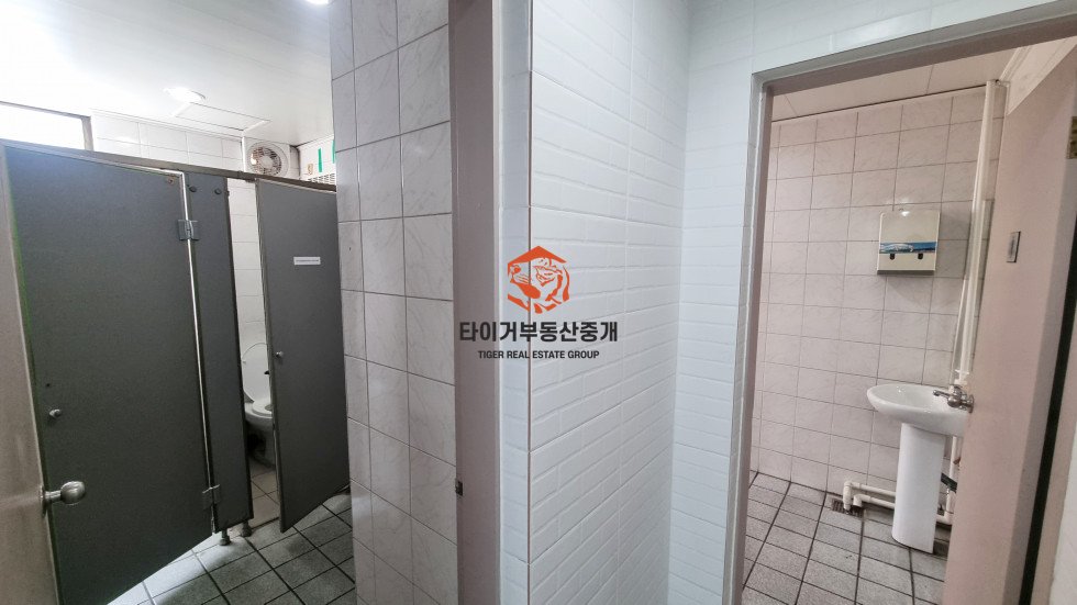 사진 5