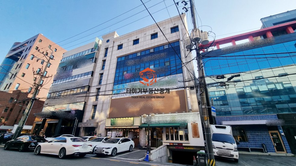 신사동