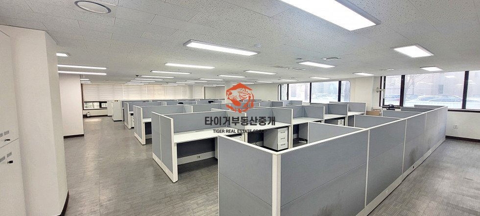 사진 6