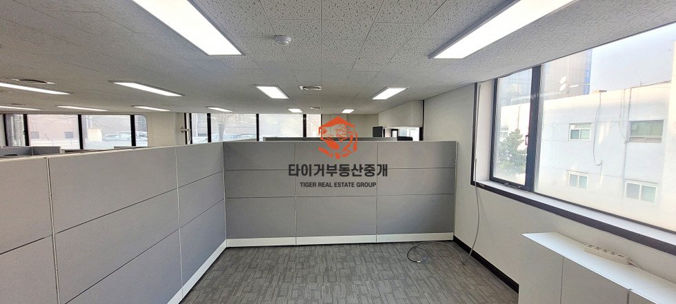 사진 8