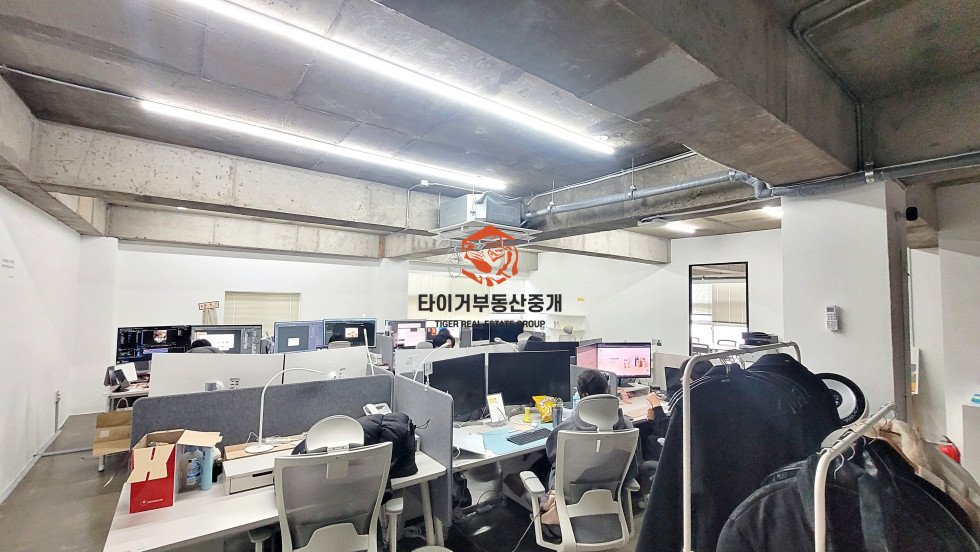사진 5