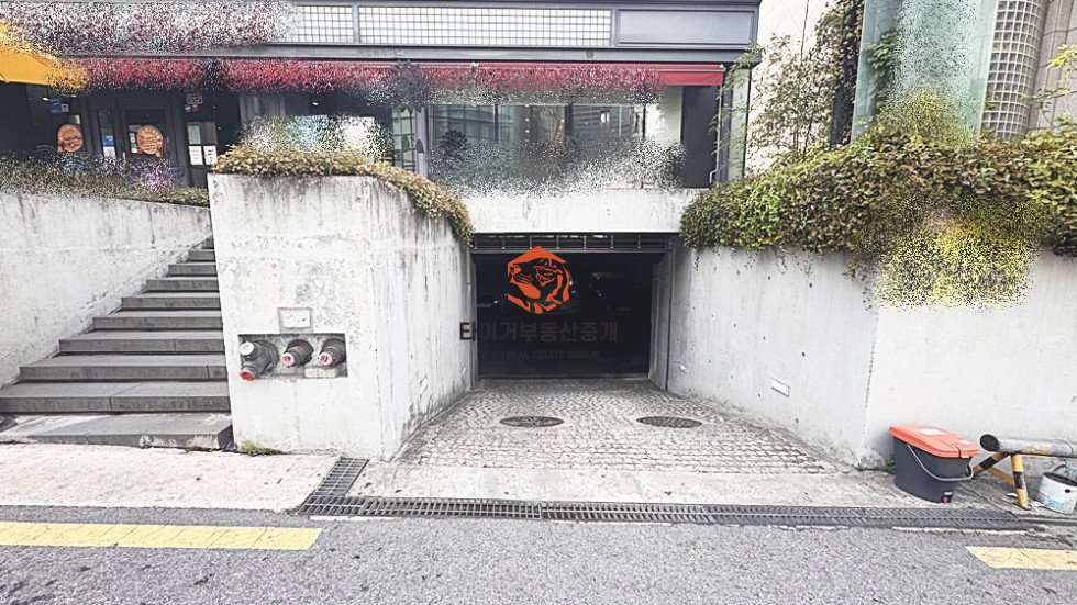 사진 11