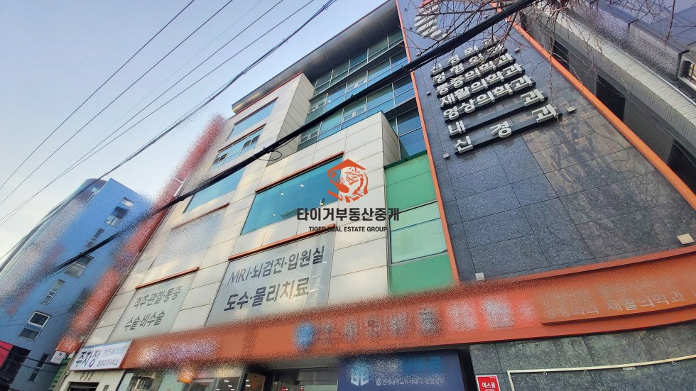 신사동