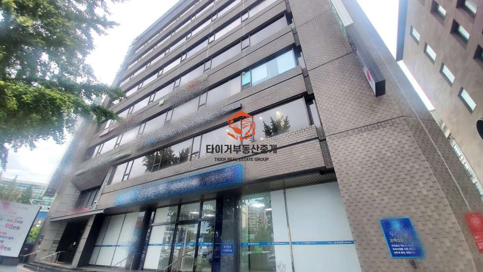 신사동
