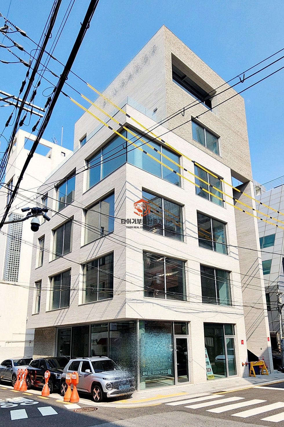 신사동