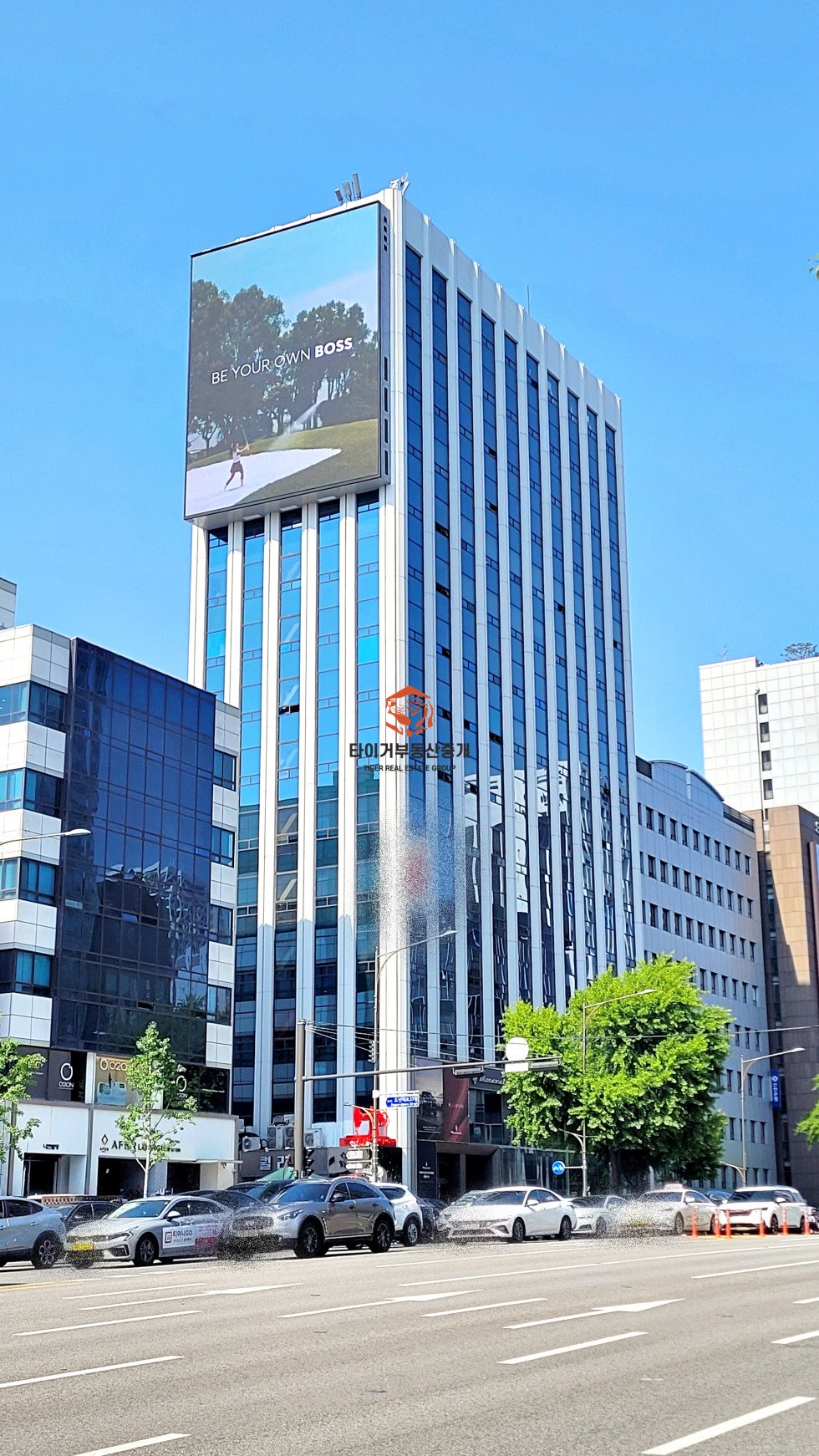 신사동