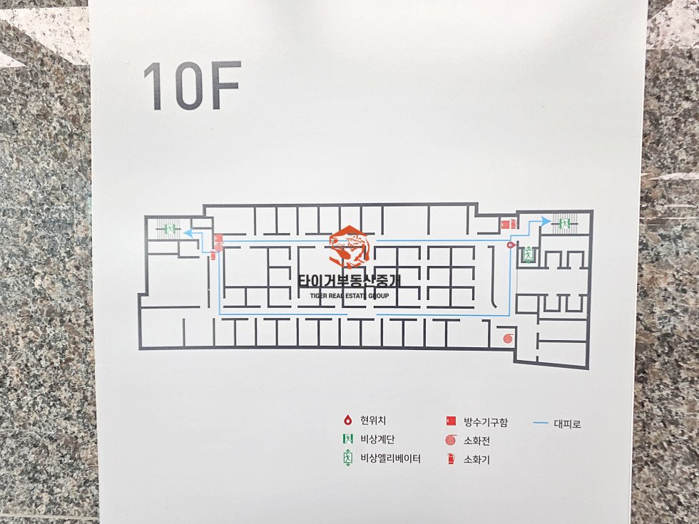 사진 12