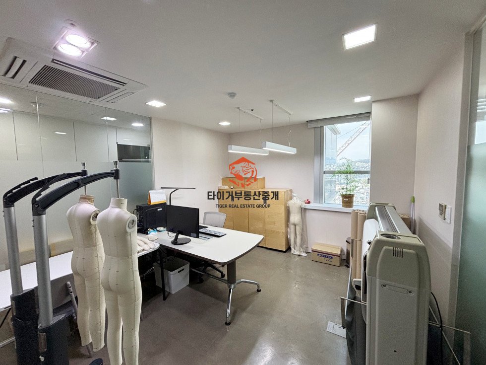 사진 8