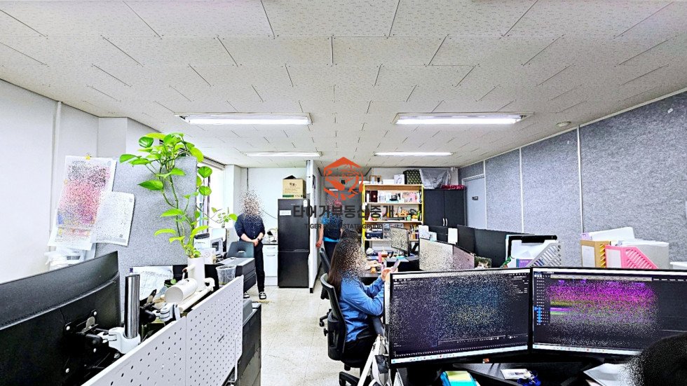 사진 3