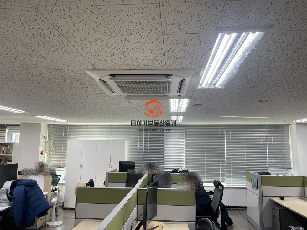 사진 6
