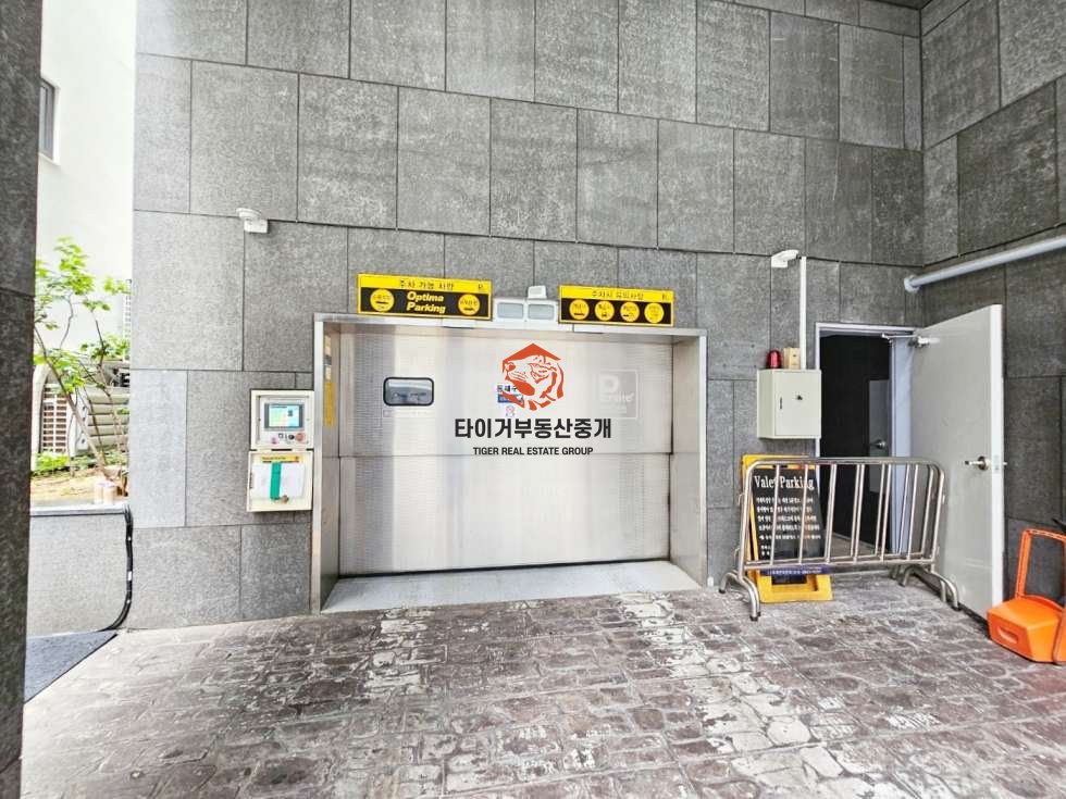 사진 5