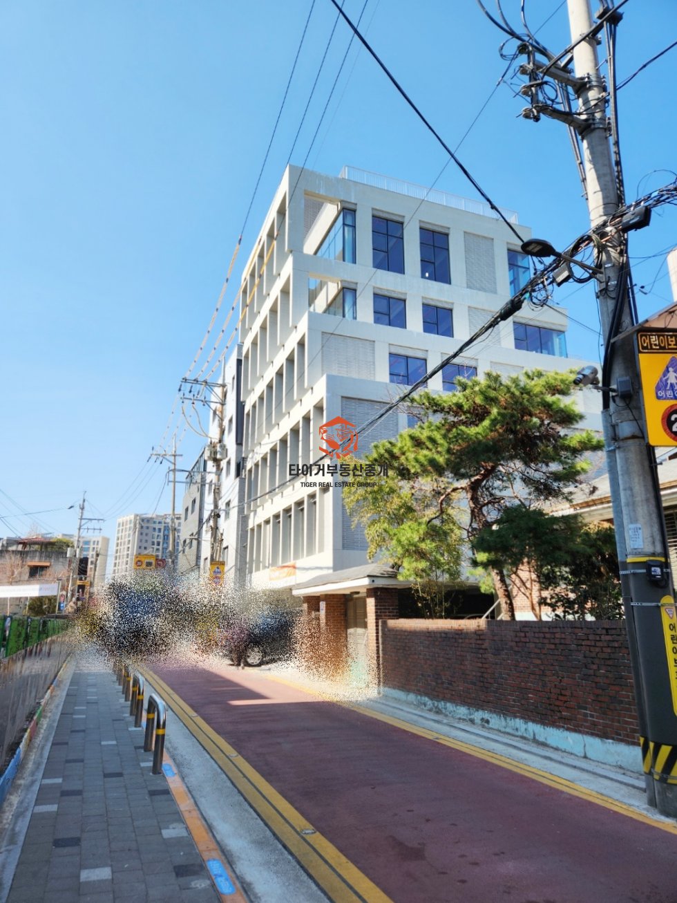 사진 10