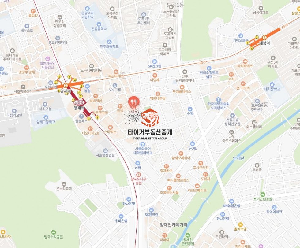사진 9