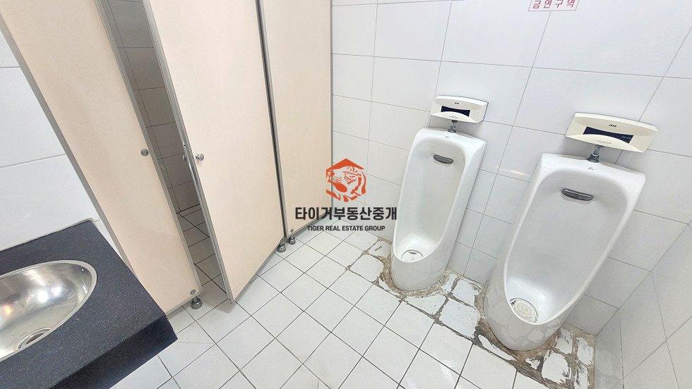 사진 5