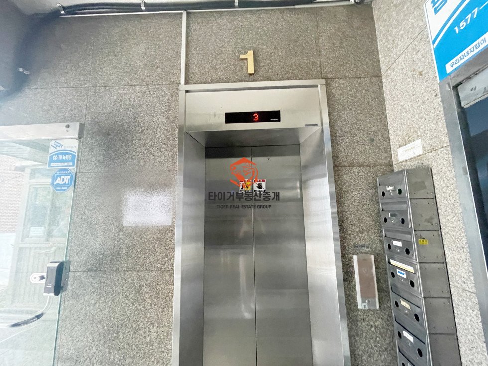 사진 13