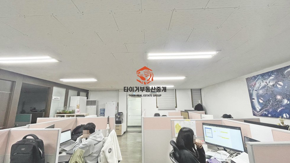 사진 5