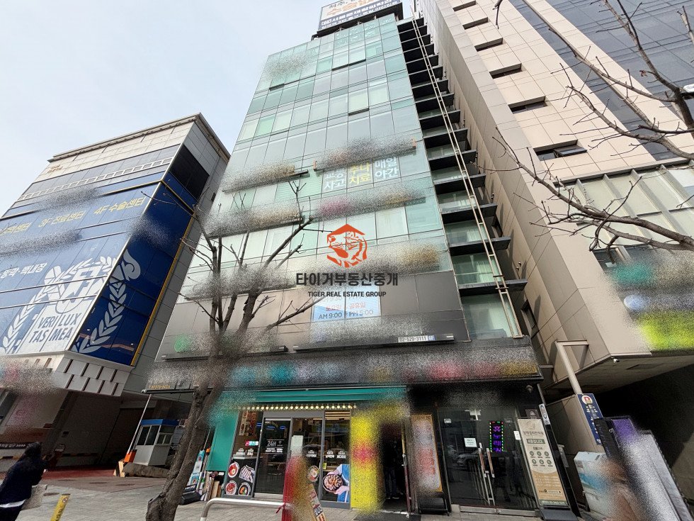 사진 17