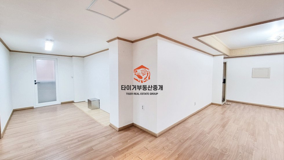 사진 5